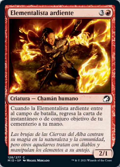 Ardent Elementalist