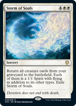 Storm of Souls [VOC - 9]