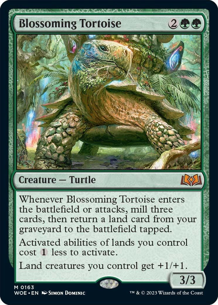 Blossoming Tortoise [WOE - 163]