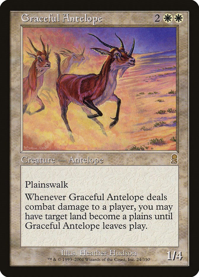 Graceful Antelope [ODY - 24]